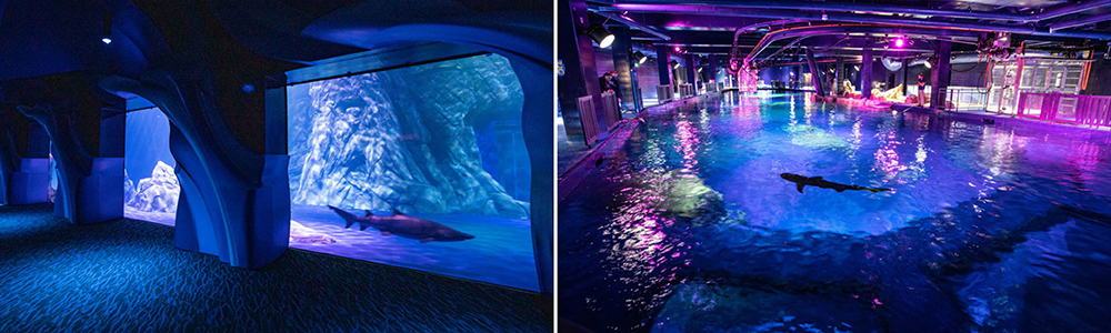 Georgia Aquarium Expansion 